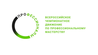 Профессионалы.